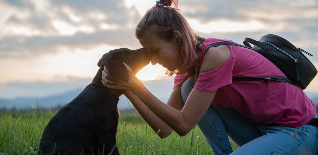 A young labrador puppy kissing a woman as she kneels in a beautiful green meadow with the setting sun shining between them.