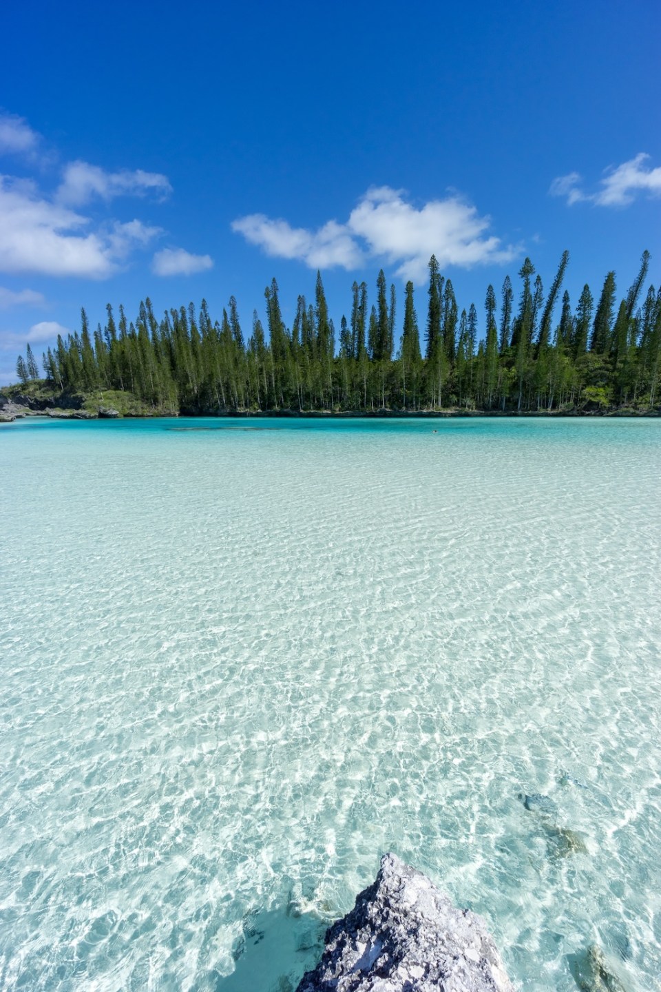 beautiful seascape of natural swimming pool of Oro Bay, Isle of Pines, New Caledonia. aquamarine translucent water.
