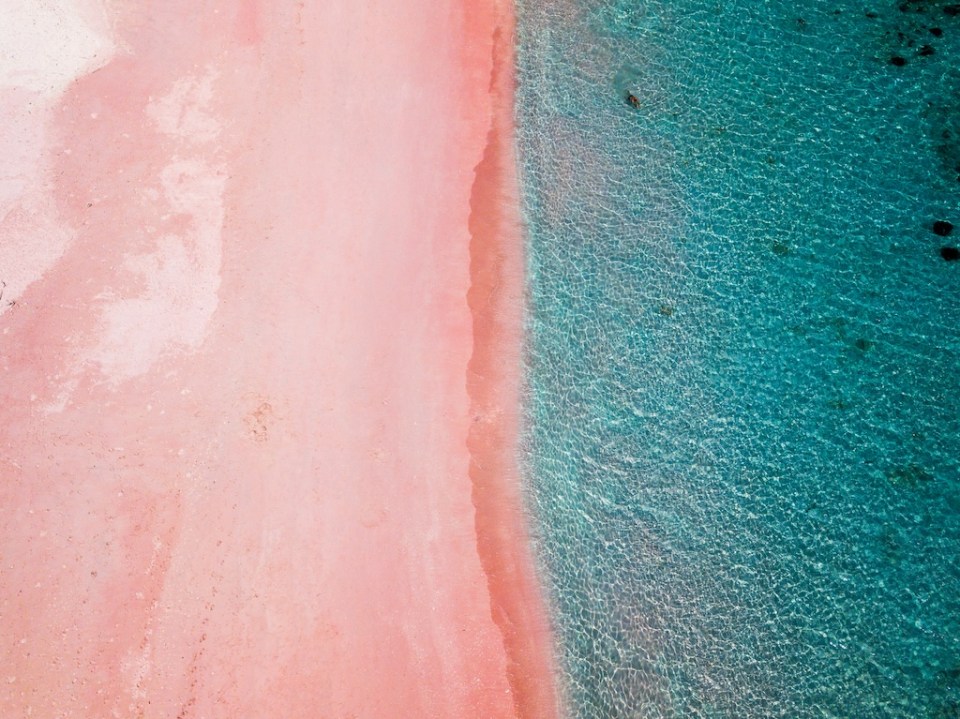Stunning pink beach in Komodo National park, Flores, Indonesia