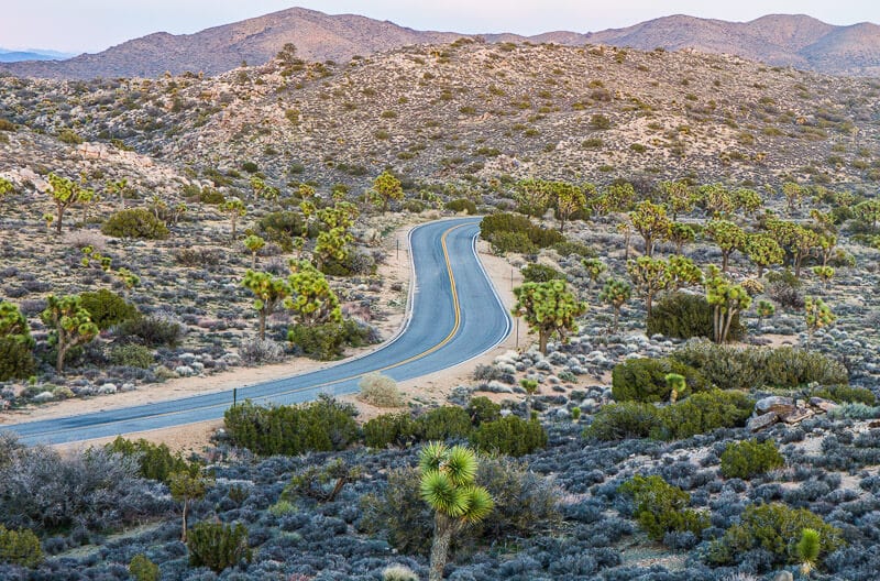 road winding through Joshua tree national park california