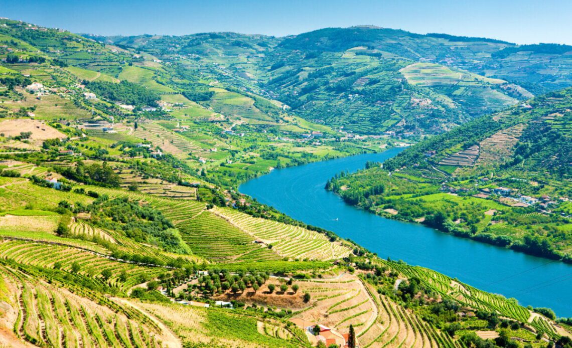 Vineyards in Douro Valley, Portugal