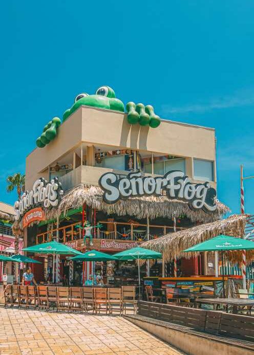 Best Things To Do In Cabo Mexico Senor Frog Bar Cabo San Lucas