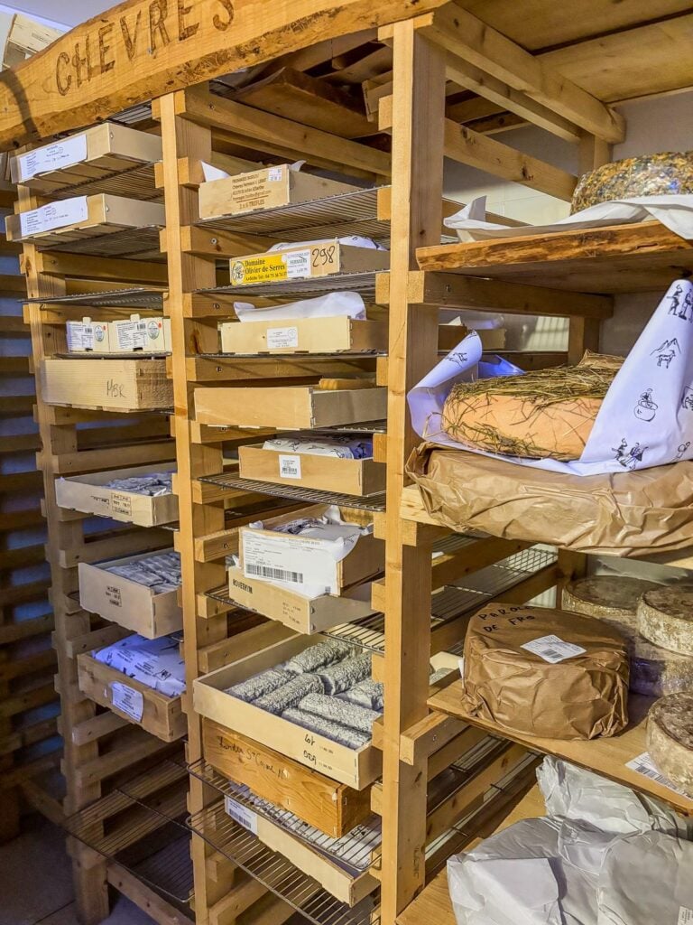 Artisanal French cheeses aging in traditional Parisian fromagerie cellar.