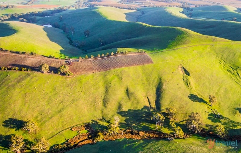 A view of a barossa vineyards from helicopter