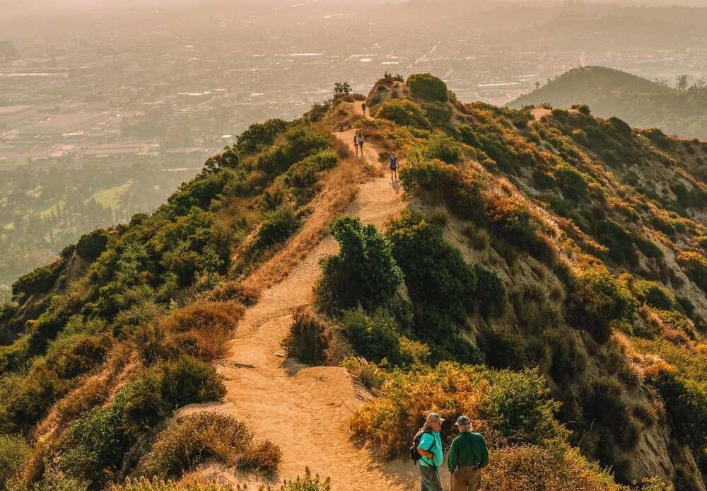 Best Things To Do In Los Angeles California Griffith Park East Ridge Trail