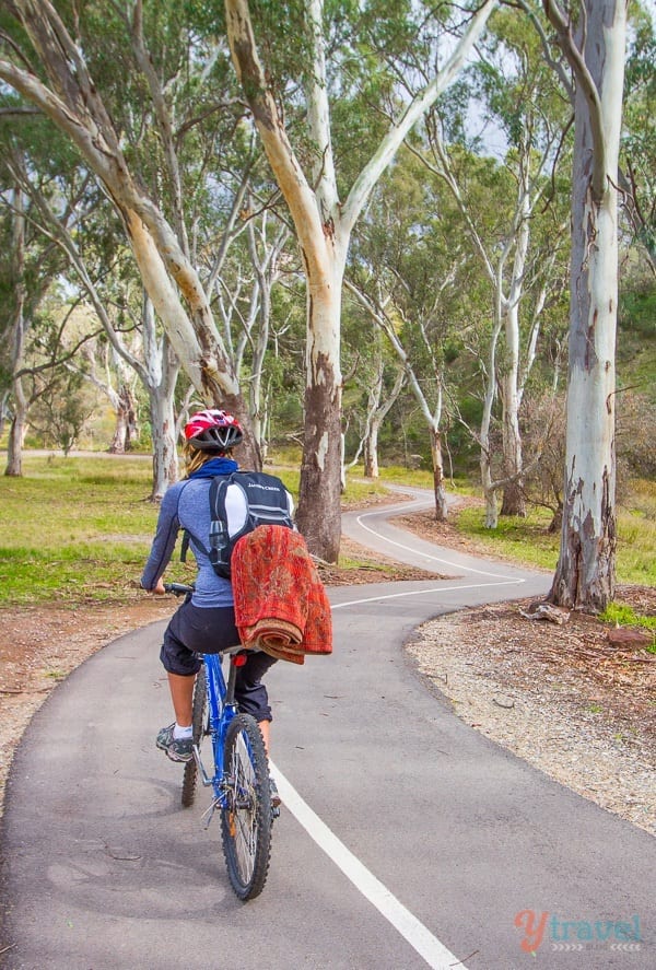 woman riding bike on path in the Barossa Valley