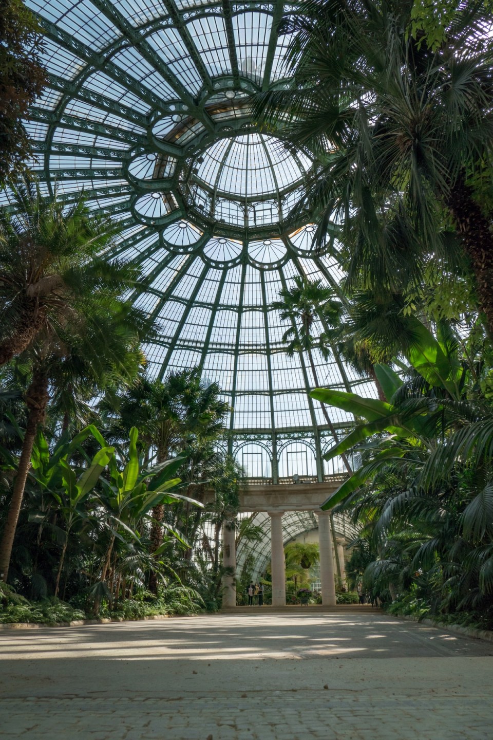 Classically styled greenhouses designed by Alphonse Balat in 1873 with pavilions, domes and galleries.