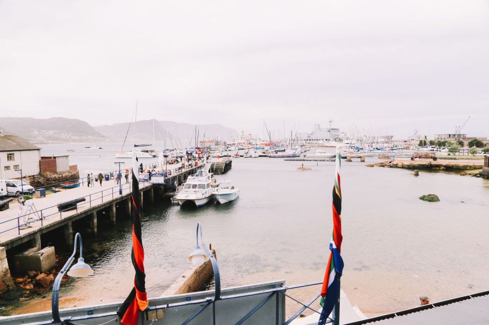 An Afternoon In Simons Town, Cape Town (3)