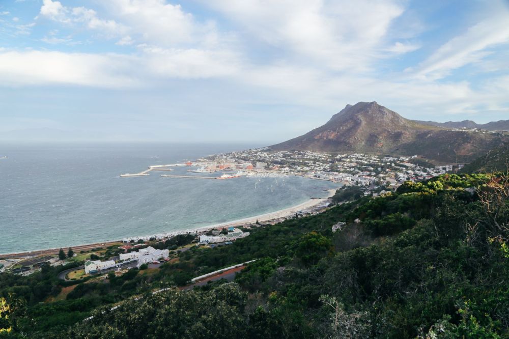 An Afternoon In Simons Town, Cape Town (11)