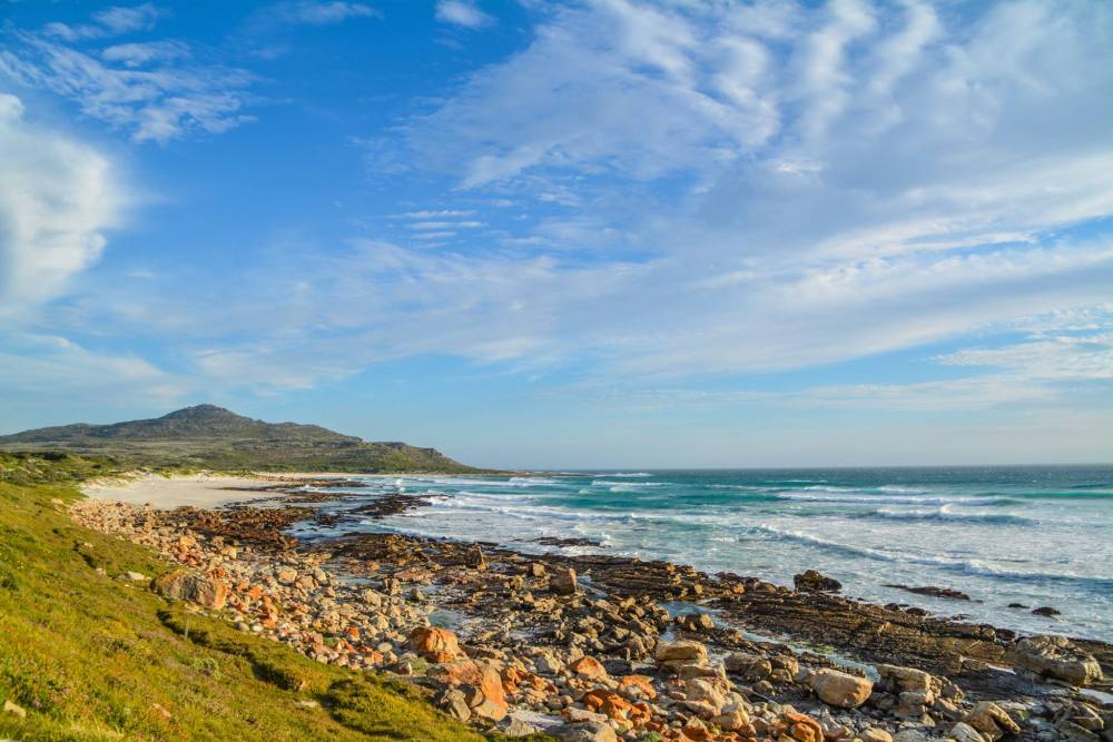 6 Breathtaking Experiences You Must Have Just Outside Of Cape Town, South Africa (15)