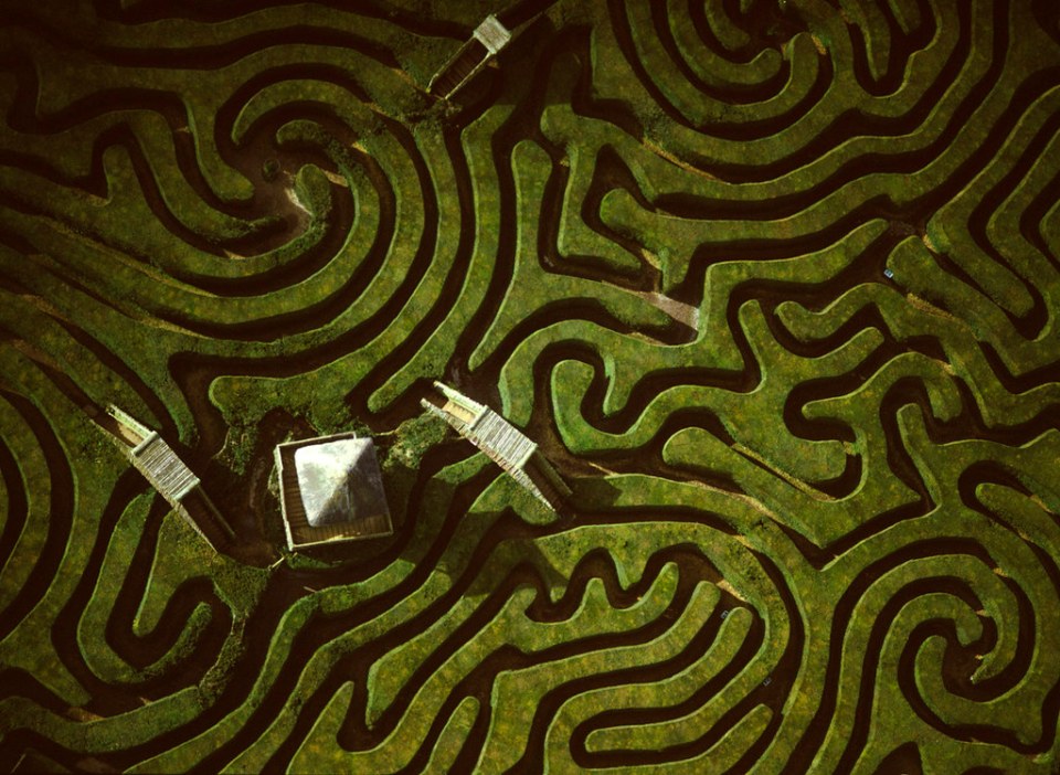 Longleat hedge maze, Wiltshire, England