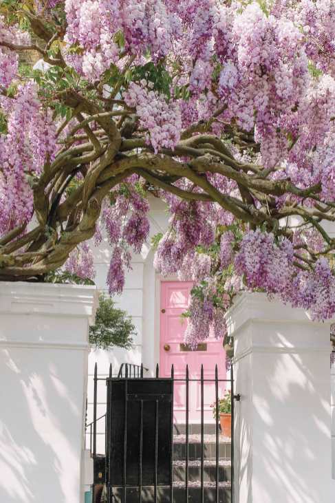 Beautiful homes in Notting Hill