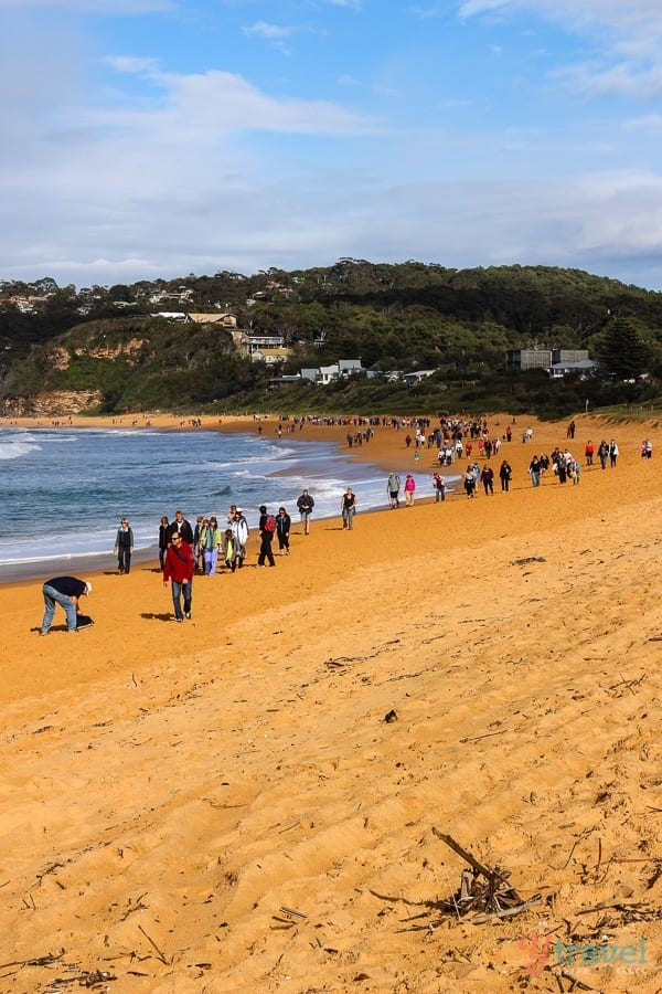 people walking on McMasters Beach, Australia