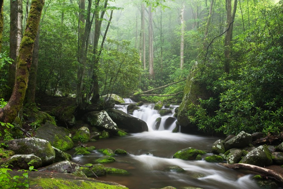Relaxing scenic along the Roaring Fork Moter Tour in the Great Smoky Mountains National Park
