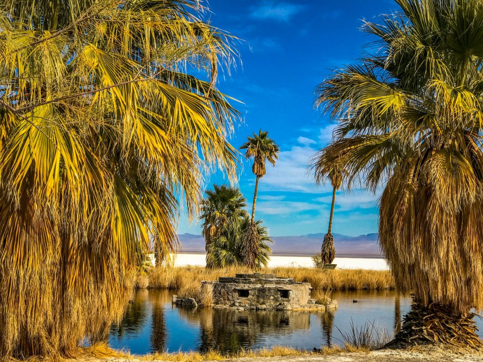Zzyzx Mineral Springs
