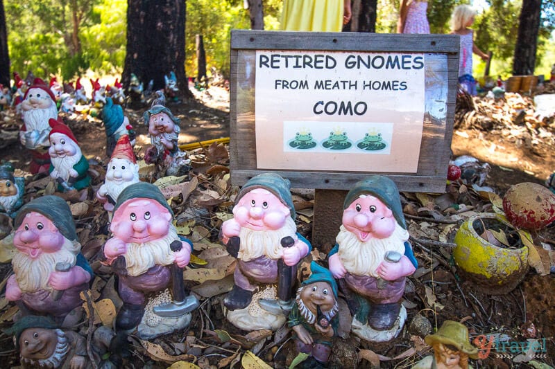 Gnomes in forest