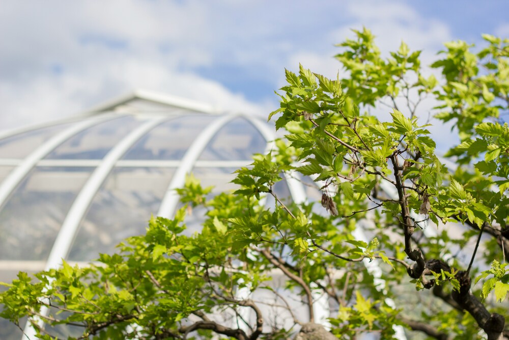 Phipps Conservatory Pittsburgh