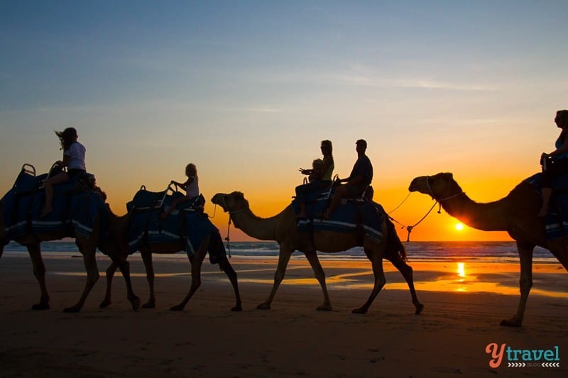 people riding camels on the beach