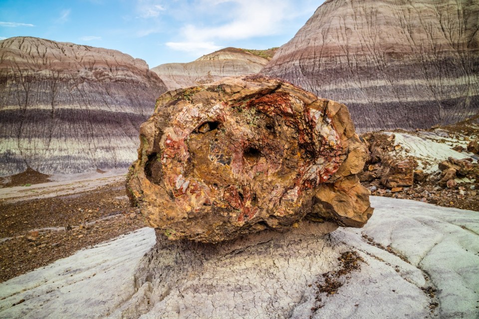 Petrified rocks of late Triassic period in Petrified Forest Nationa Park