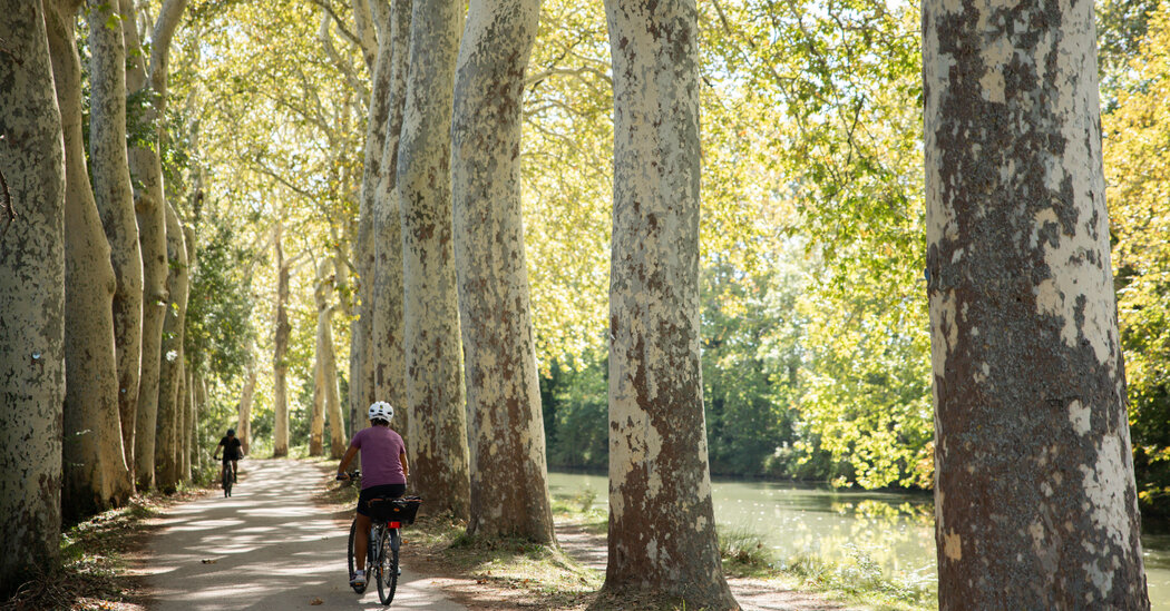 Biking Through Southern France, and History