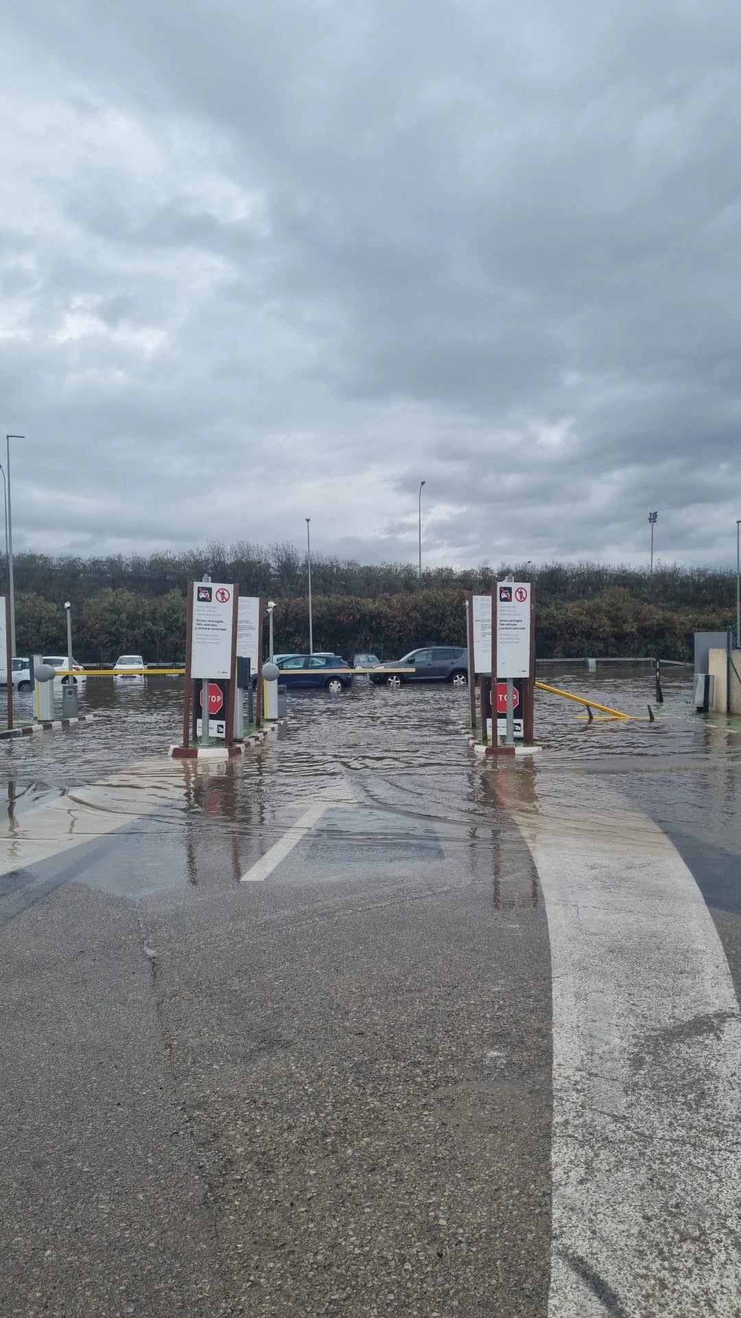 Vehicles parked in a flooded car park after heavy rains, at Palma de Mallorca airport, in Palma de Mallorca