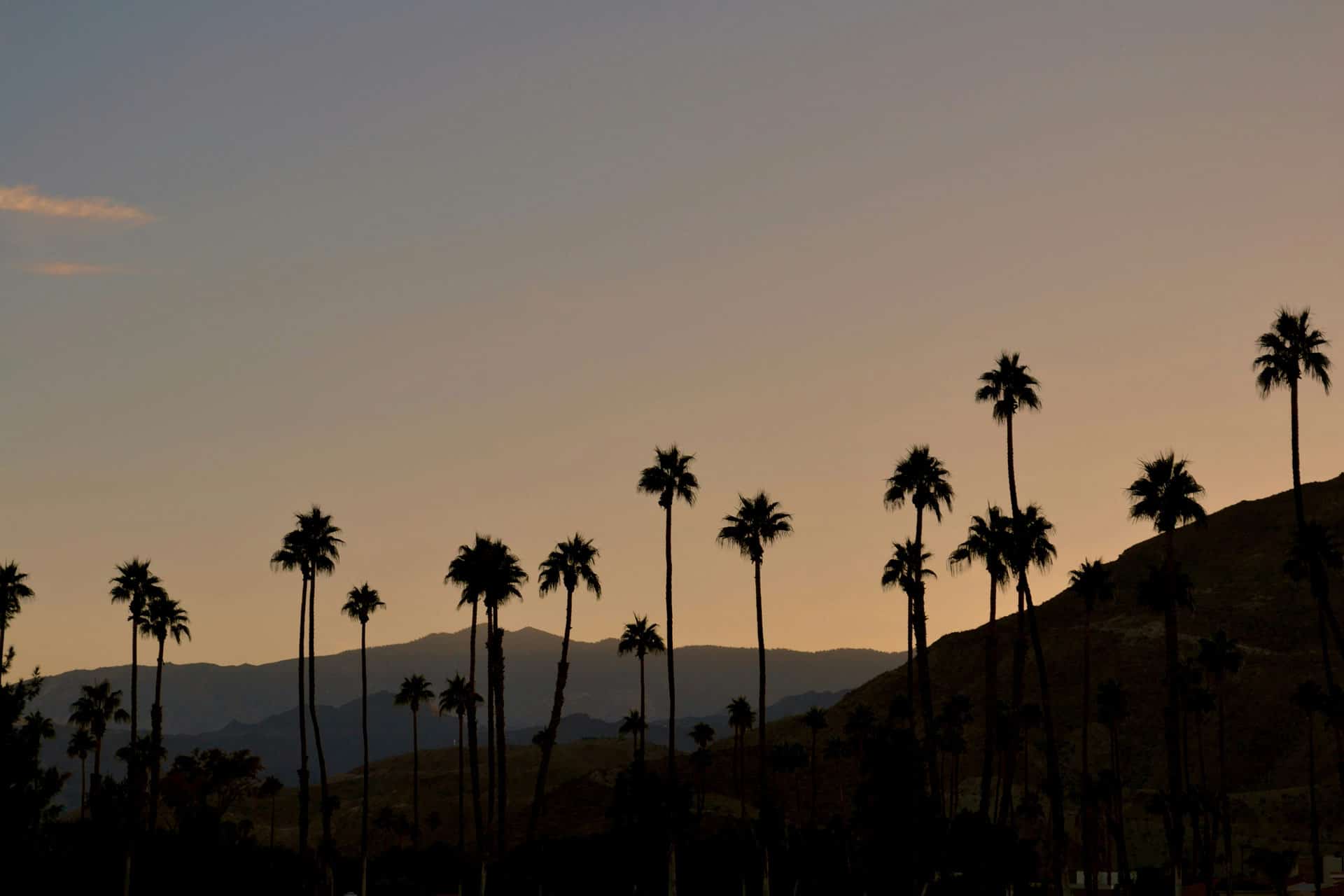 The Perfect 3 Days In Palm Springs Itinerary (2024 Guide)