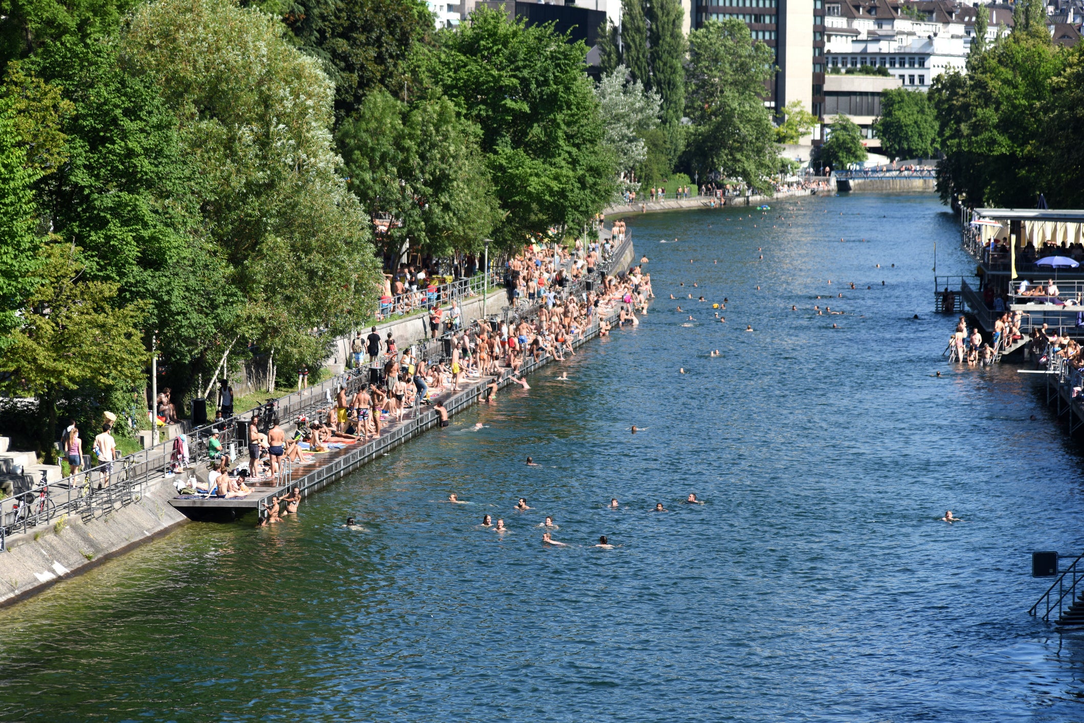 Cooling off in the Limmat