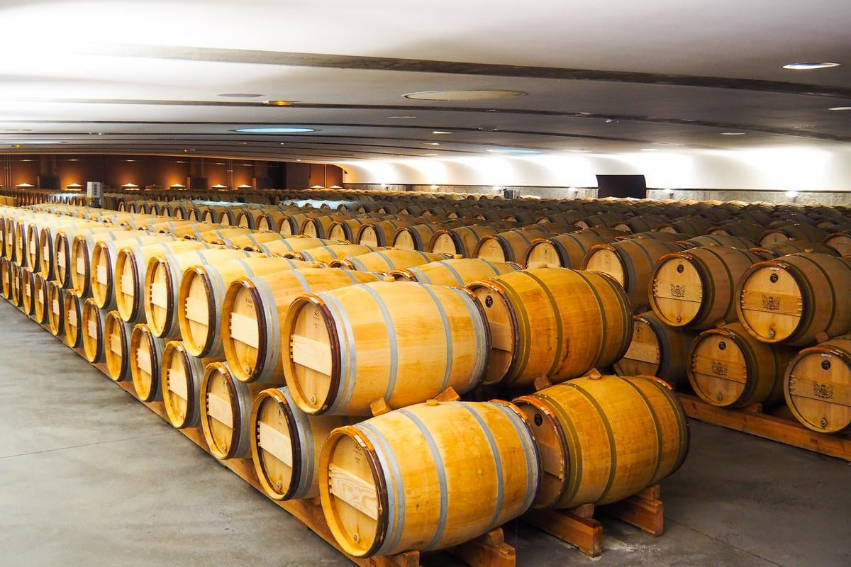 Oak wine barrels in Bordeaux wine cellar, France, aging premium vintages