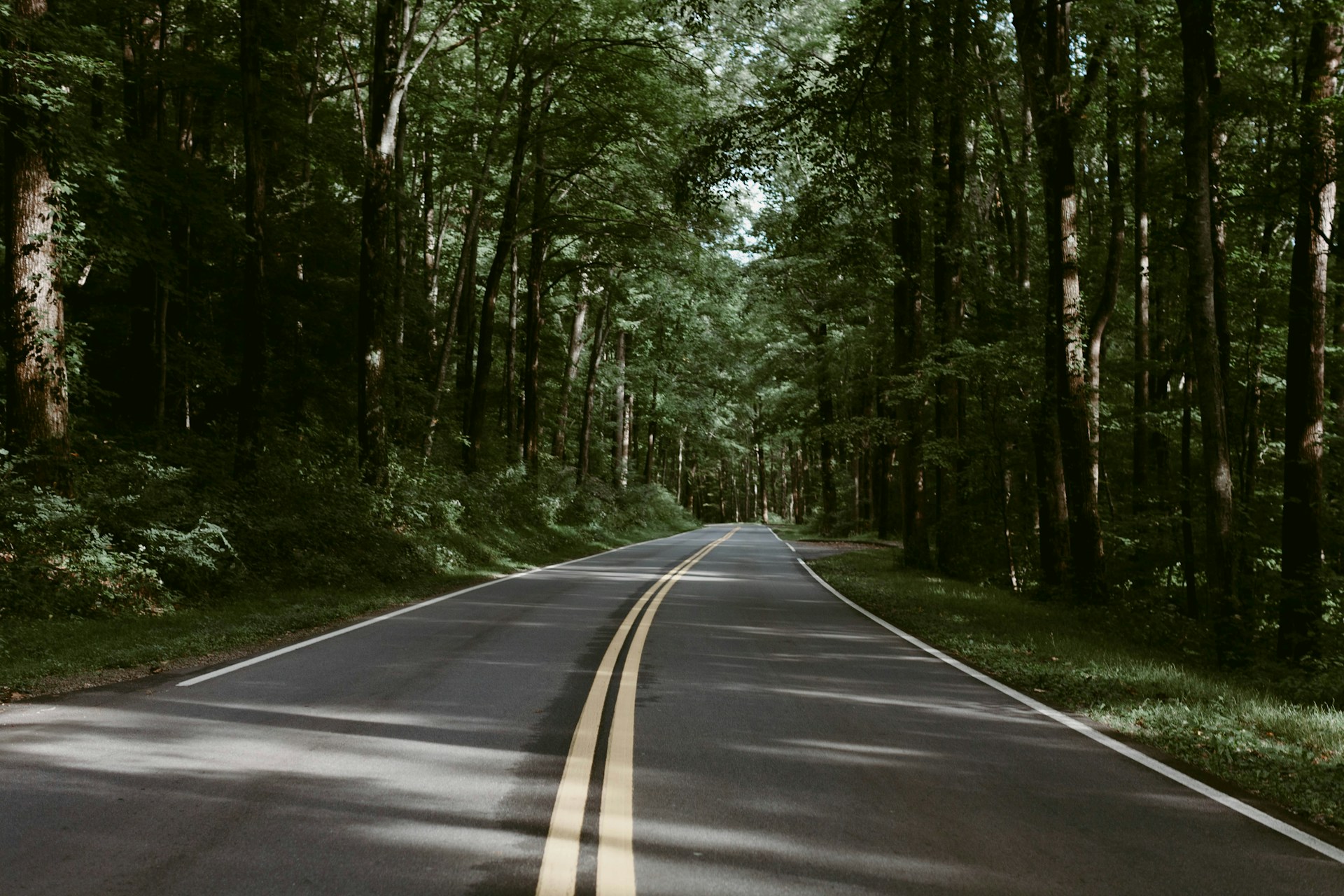 Road to Gatlinburg (photo: Charis Sims)