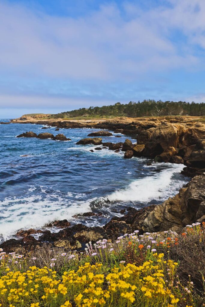 china cove point lobos state natural reserve photos