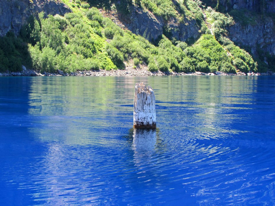 Old Man of The Lake at Crater Lake 