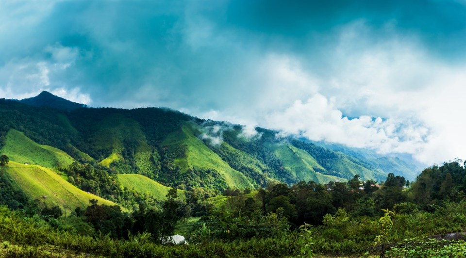 Forest Mountains landscape in the morning with fog, Doi phu kha, Nan, Thailand