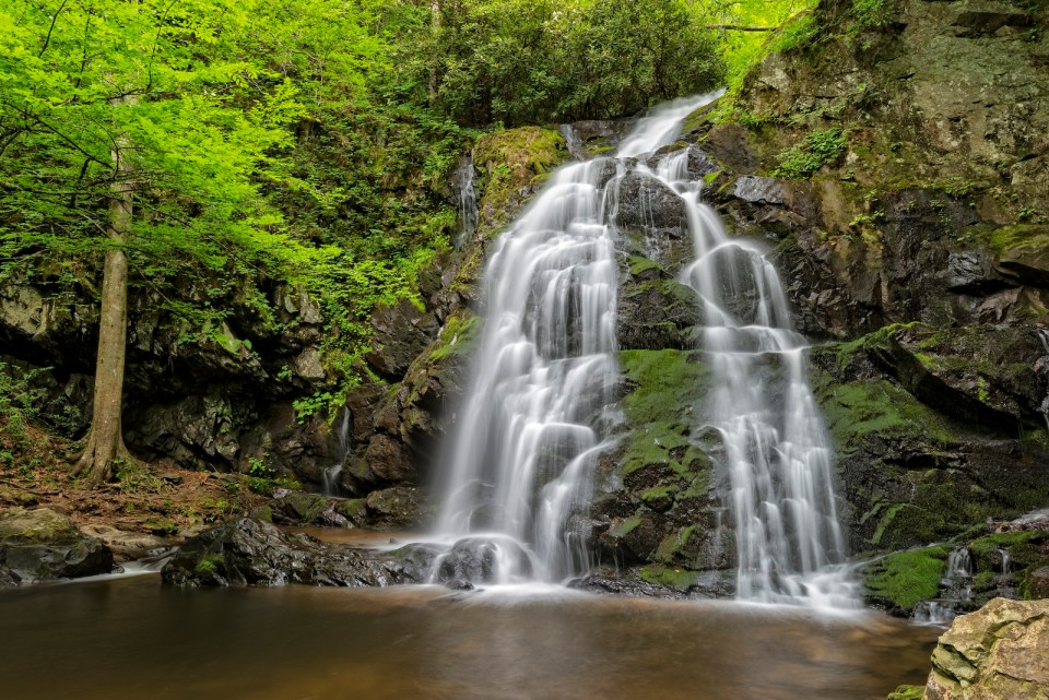 Spruce Flats Falls In The Great Smoky Mountains