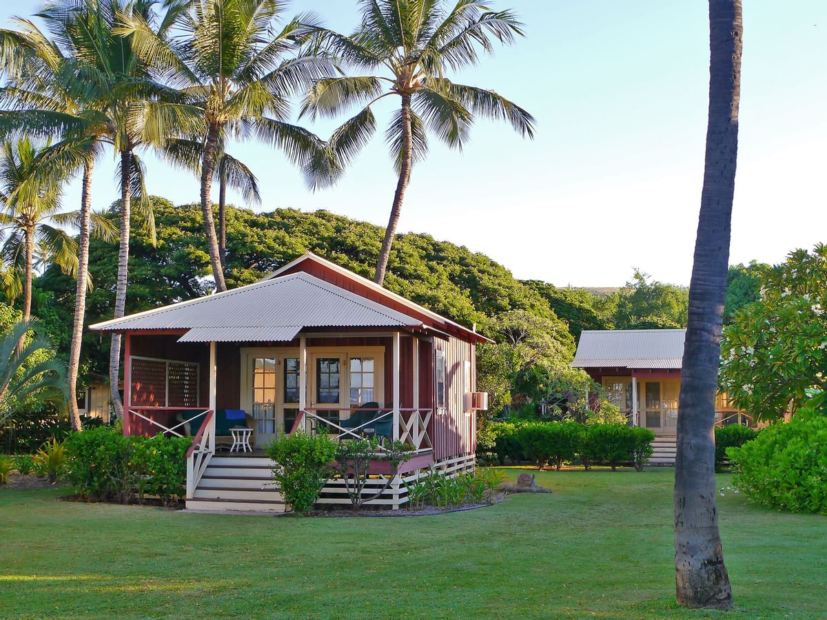 Lush green vegetation blankets the ‘Garden Island’