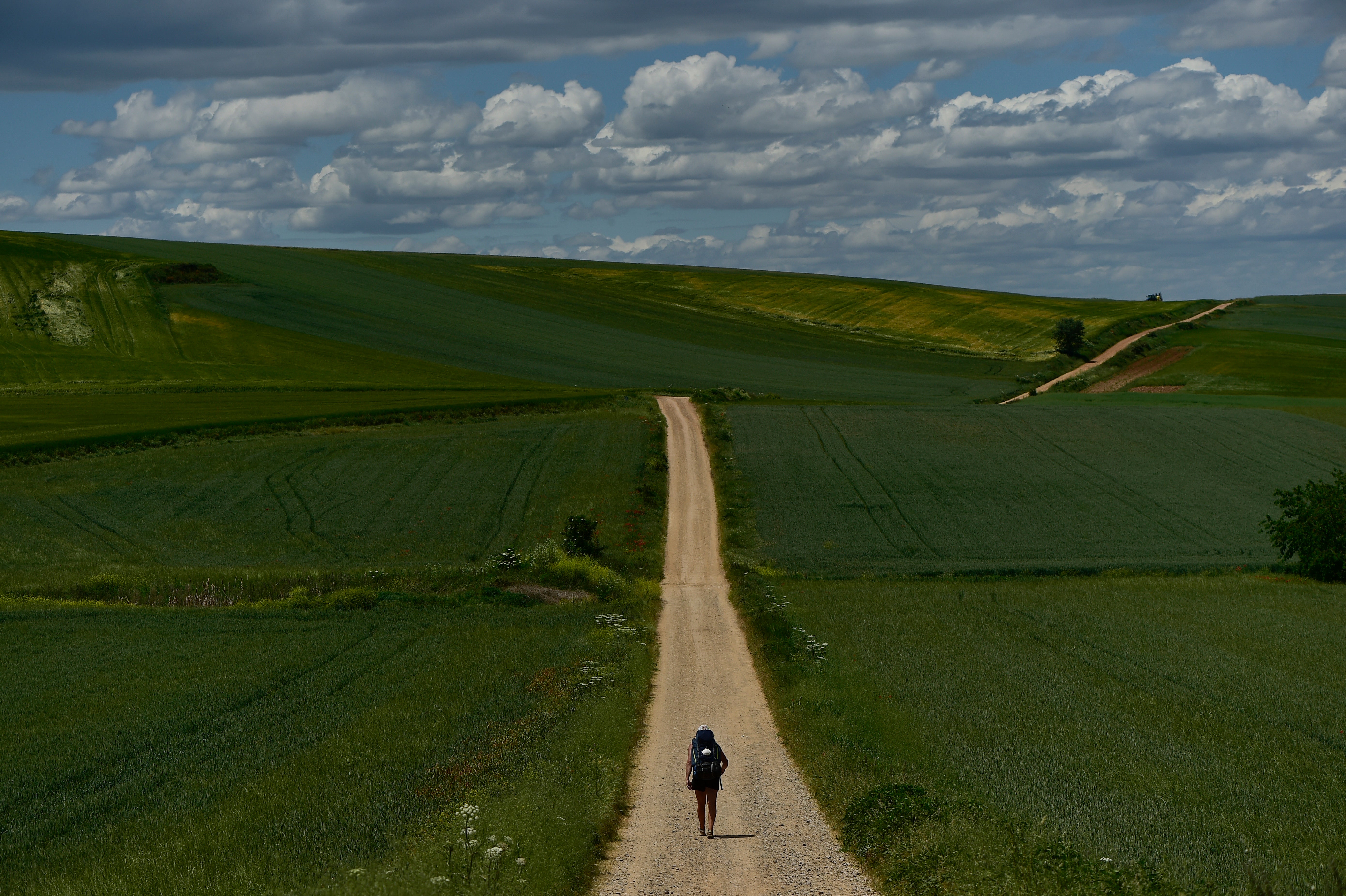 A pilgrim walks during a stage of ‘Camino de Santiago’ or St. James Way near to Santo Domingo de La Calzada