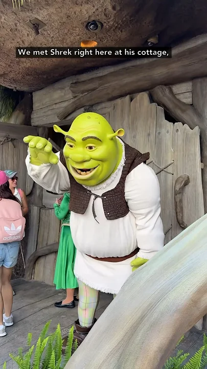 I went to Shrek's swamp and it was insane... Universal Studios Florida Dreamworks Land #shorts