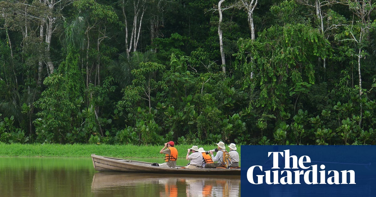 To the end of the Amazon in Brazil: ‘there are forms of life here that I never knew existed’ | Travel