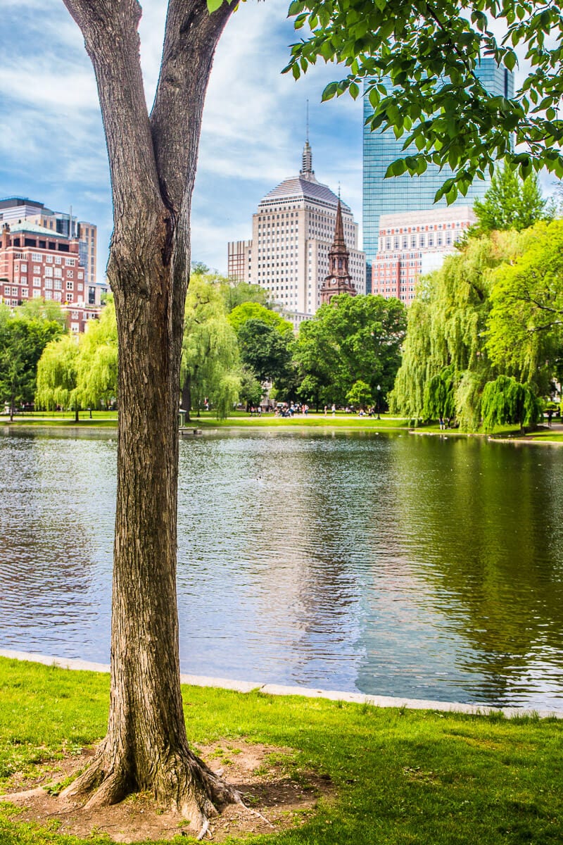 lake in public park with buildings in the background