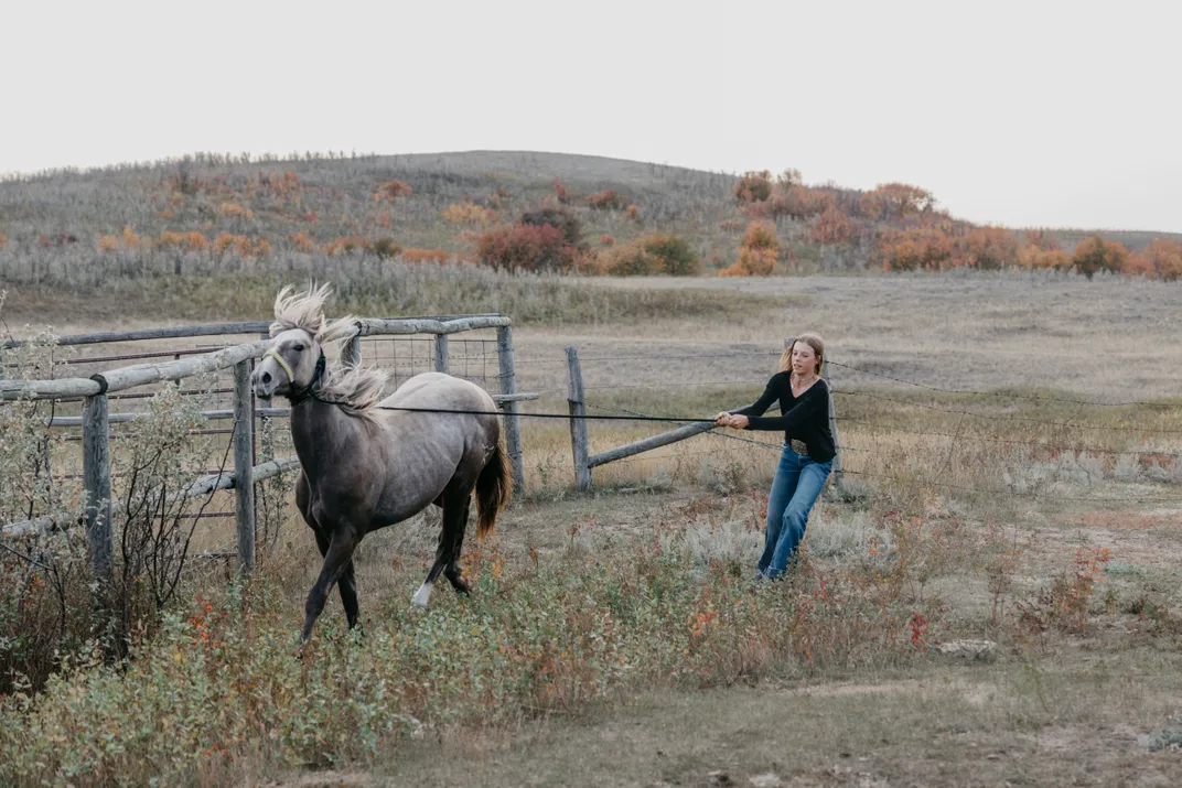 An energetic horse tries to evade capture.