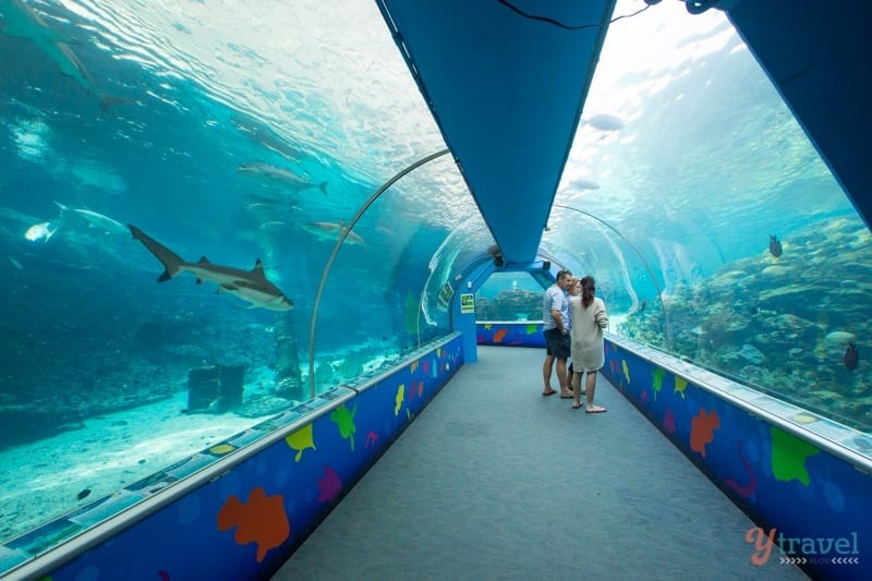 people walking in an aquarium 