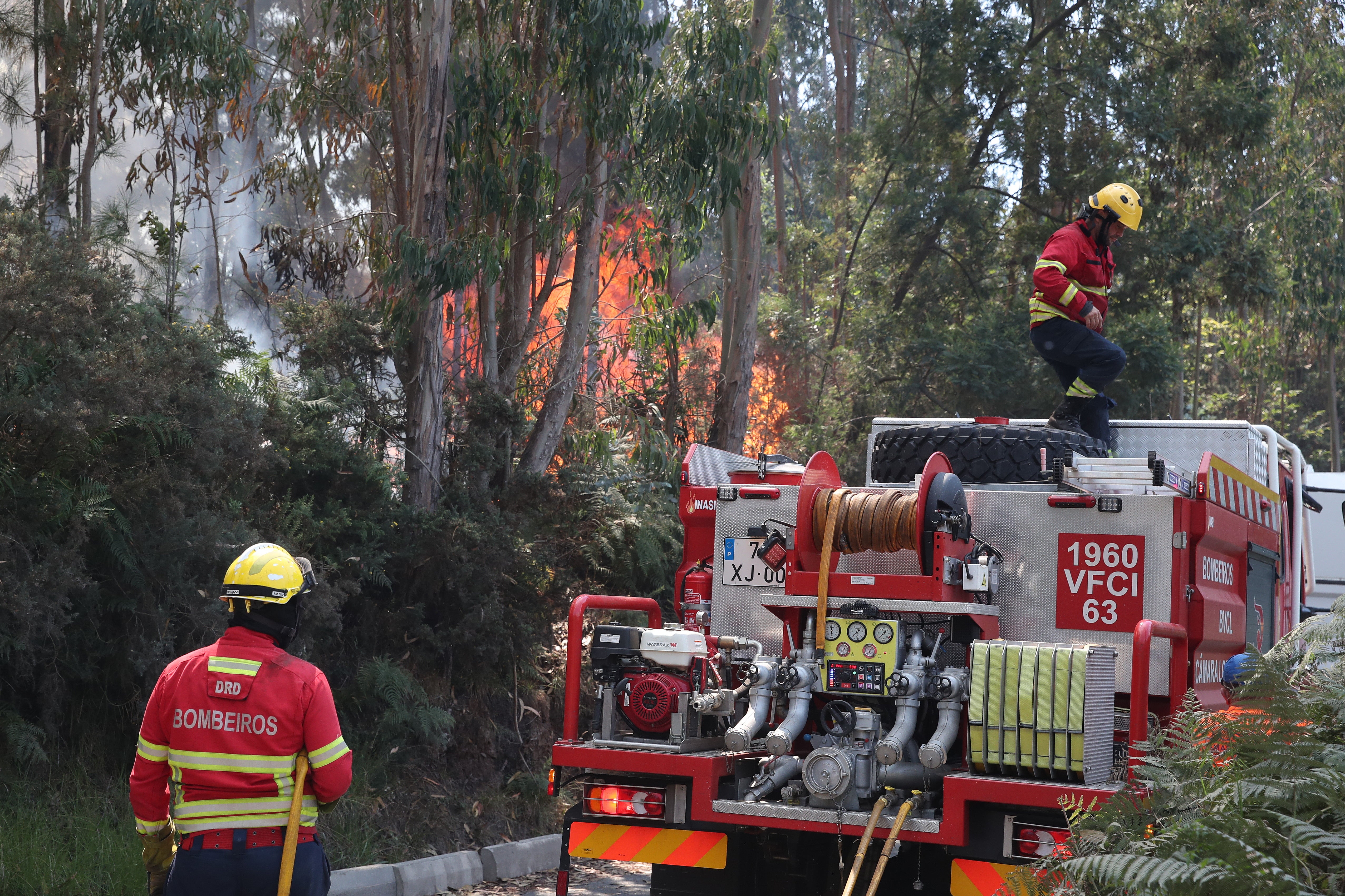 The south coastline of Madeira was placed on ‘orange alert’ as of Monday