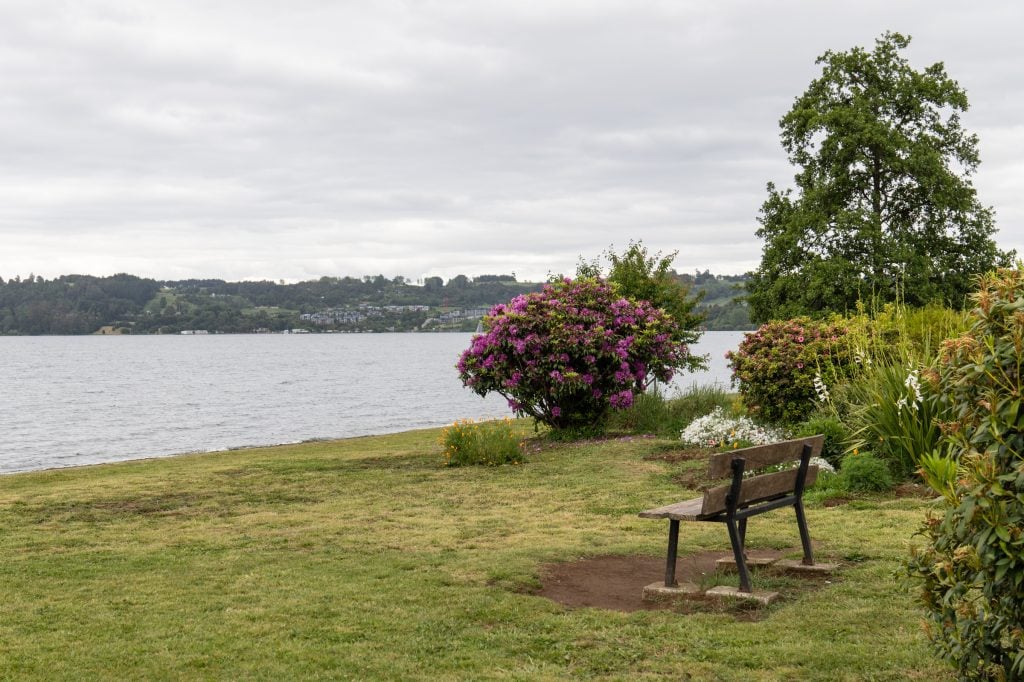 A lake waterfront on a cloudy day, a wooden bench sitting in front of the lake.