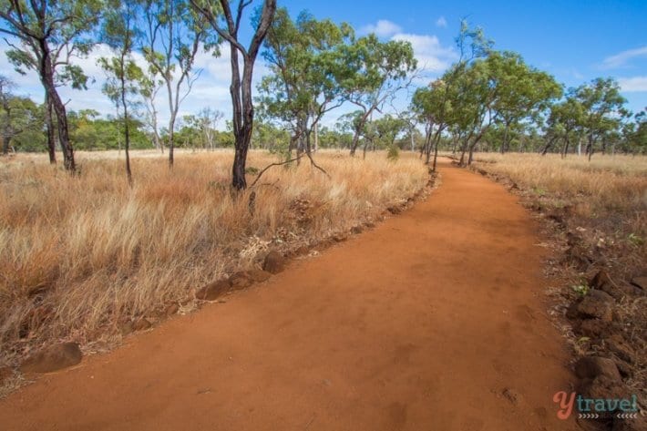 red dirt path through bush