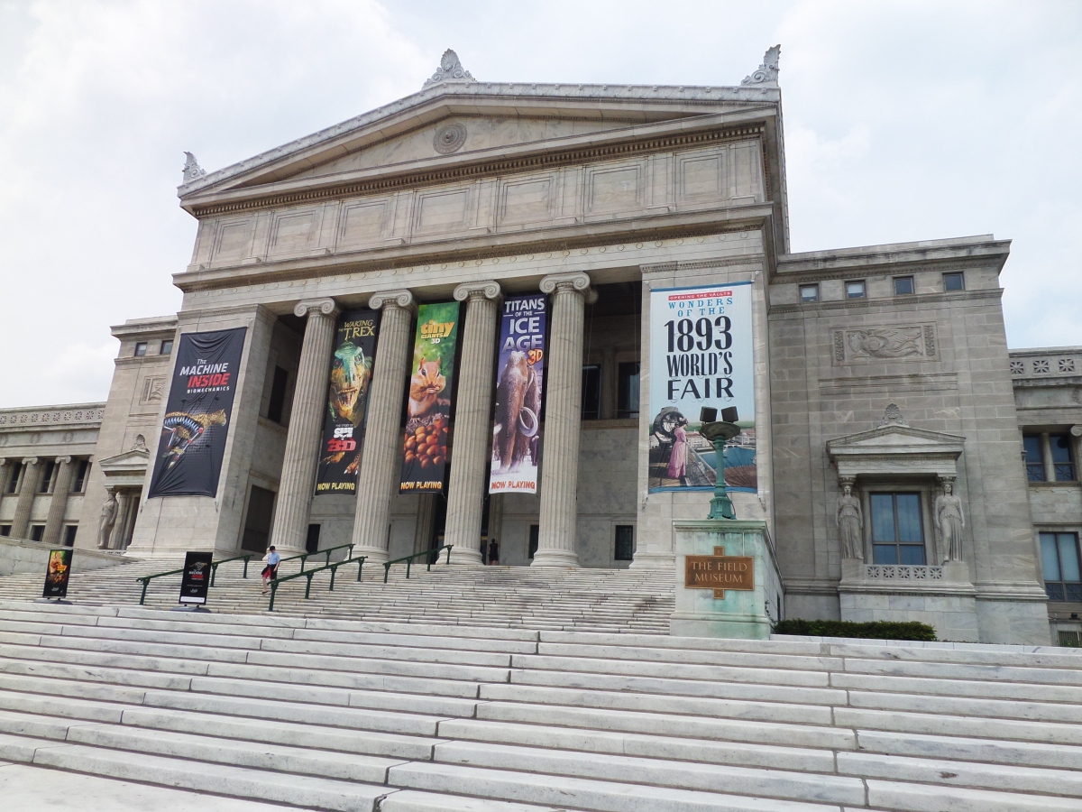 Roam Through History at the Chicago Field Museum