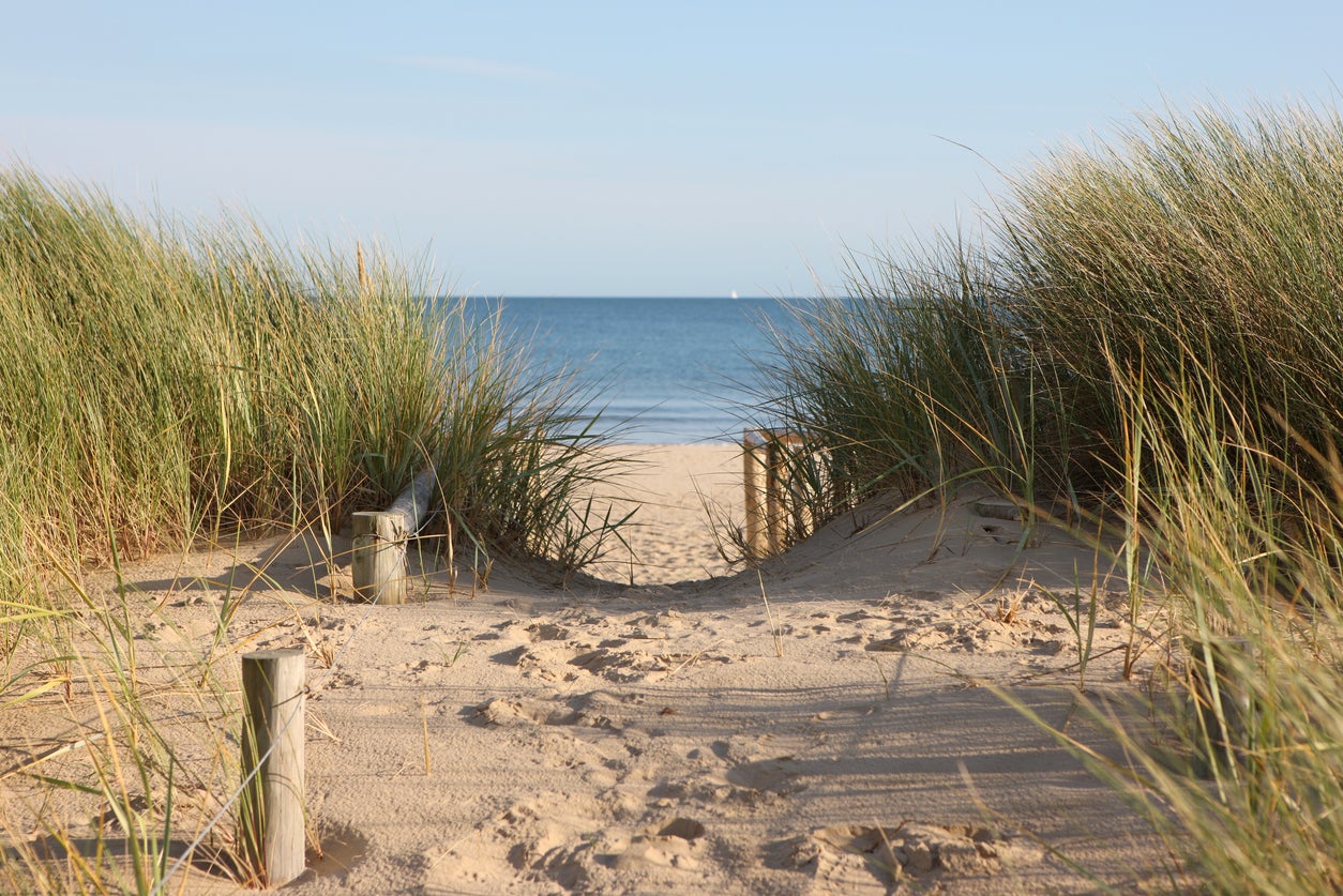 A footpath through sand dunes leading to the beach in Sandbanks