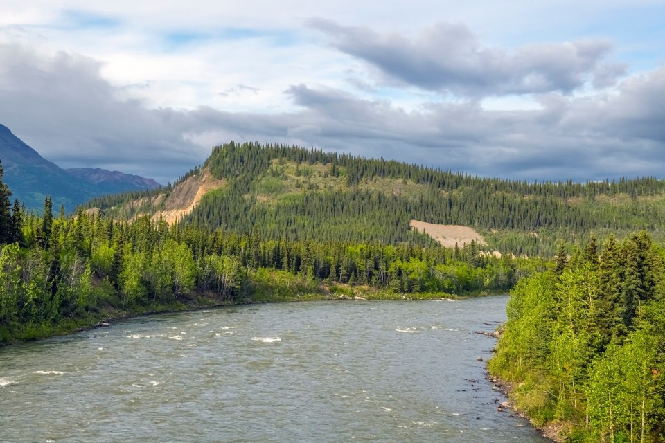 A scenic view of the Nenana River in Denali National Park in Alaska.