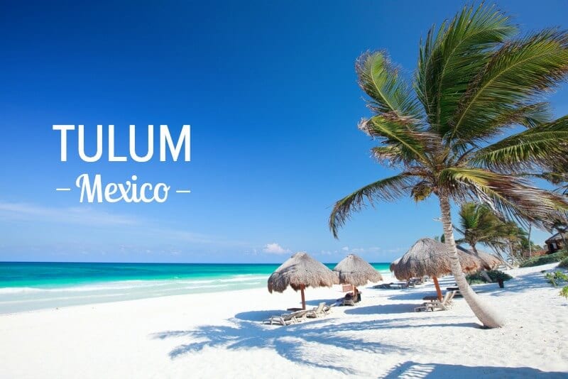 palm trees on white sandy beach of tulum mexico