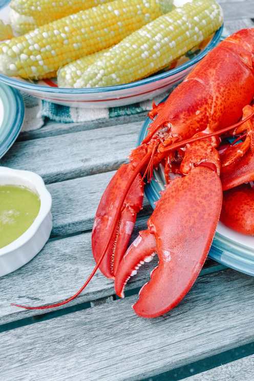 Best places in Maine to visit lobster restaurant