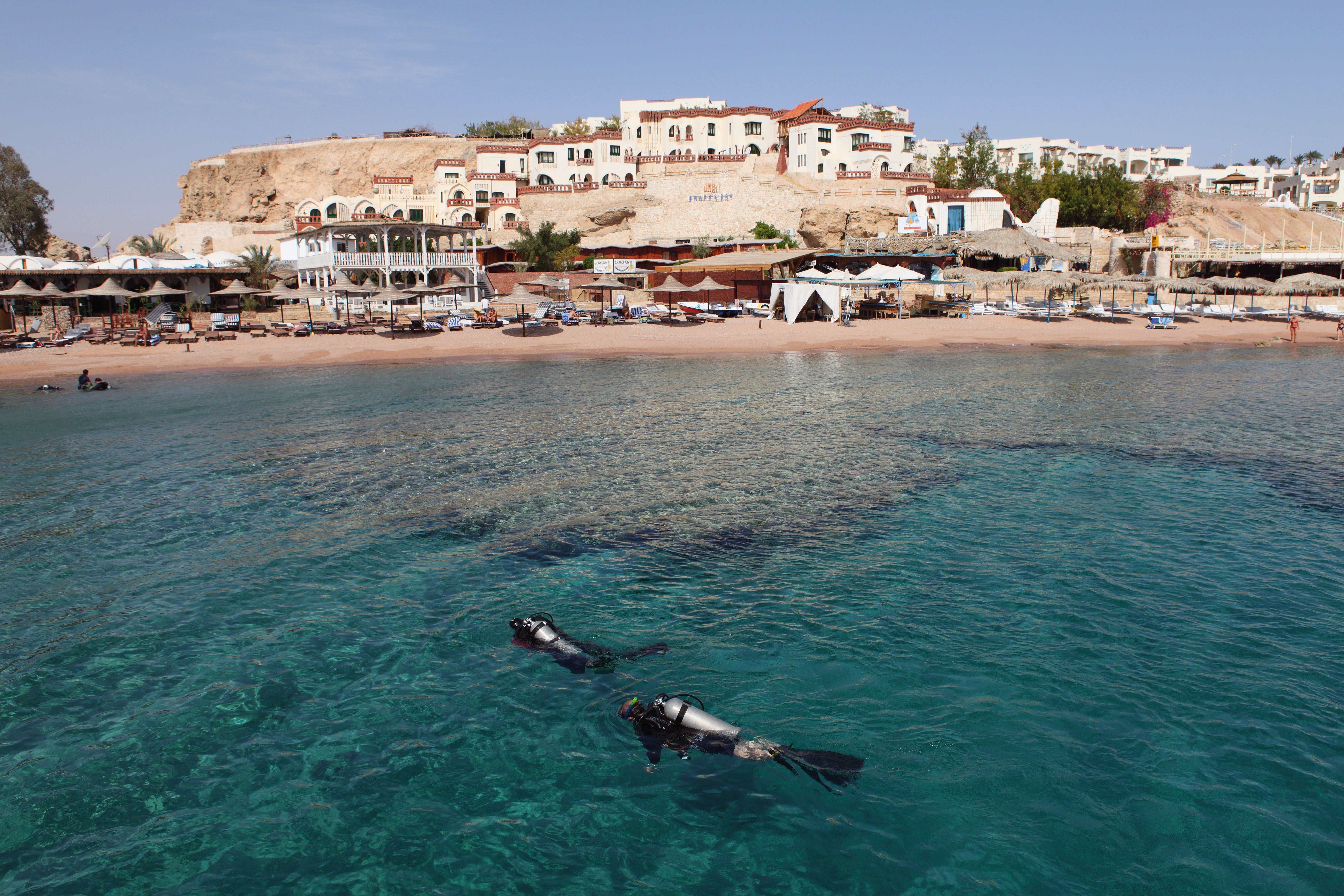 Scuba divers enjoy the clear Red Sea waters at Sharks Bay