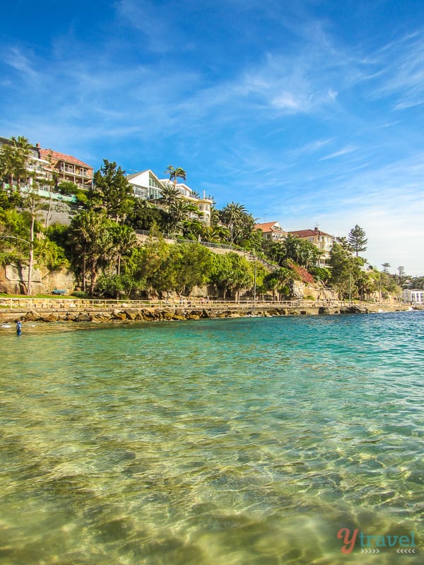 cliffside homes next to the ocean at shelly beach